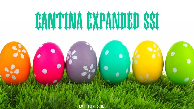 Cantina Expanded SSi example
