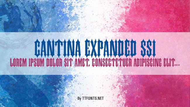 Cantina Expanded SSi example