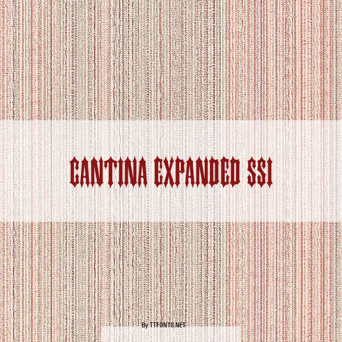 Cantina Expanded SSi example