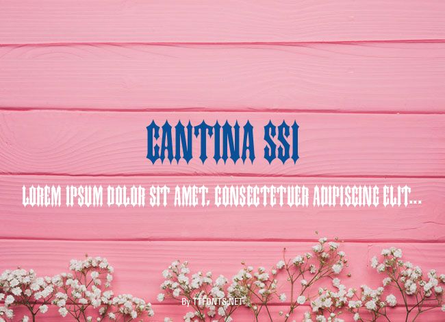Cantina SSi example