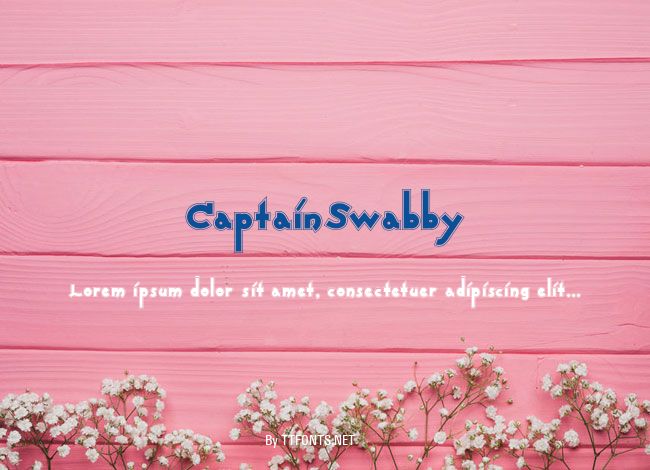 CaptainSwabby example