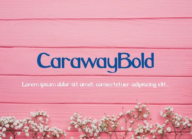 CarawayBold example