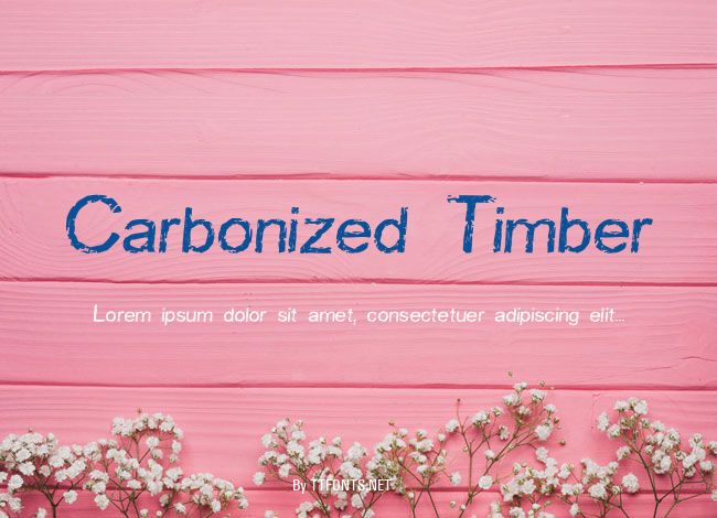 Carbonized Timber example