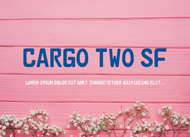 Cargo Two SF example