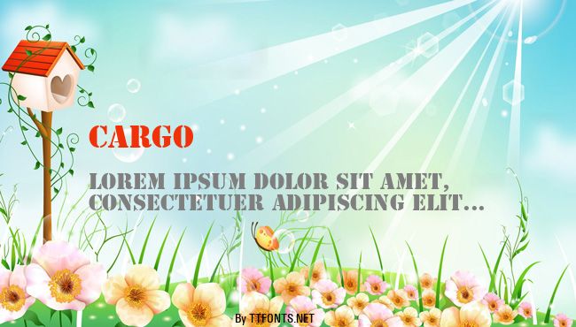 Cargo example