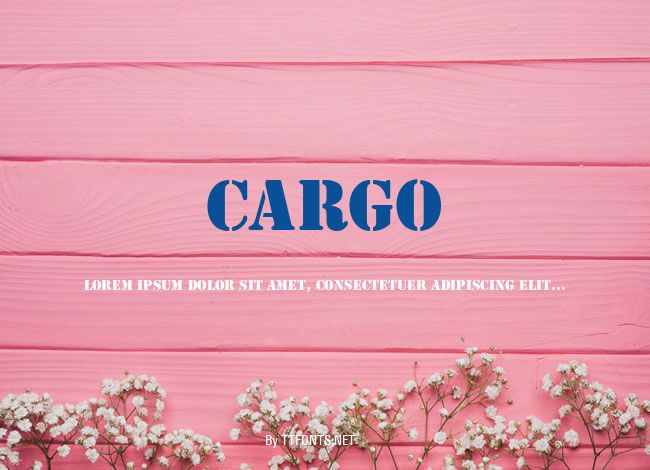 Cargo example