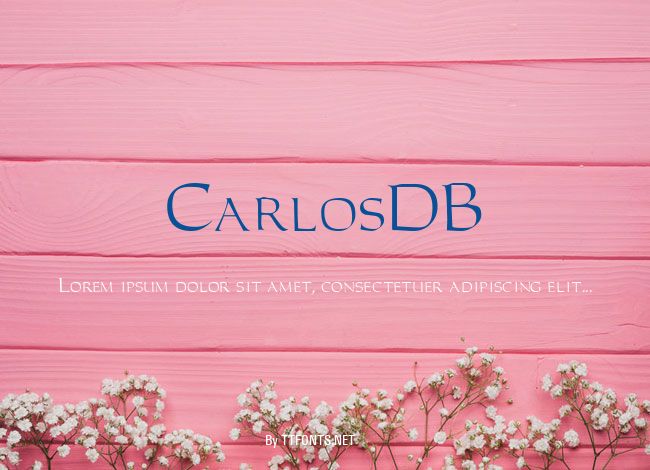 CarlosDB example