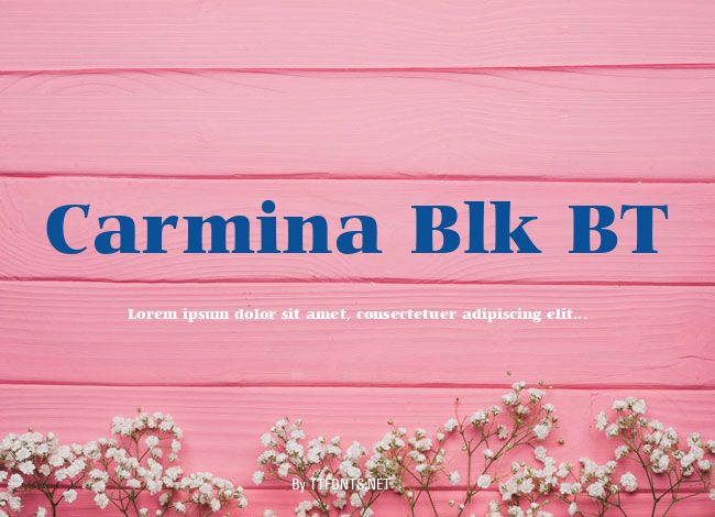 Carmina Blk BT example