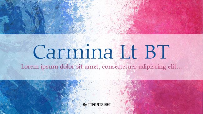 Carmina Lt BT example