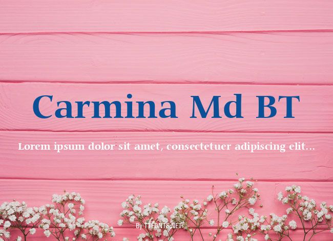 Carmina Md BT example