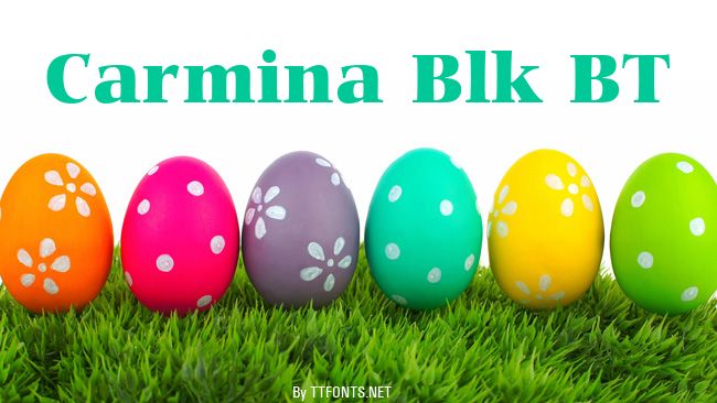 Carmina Blk BT example