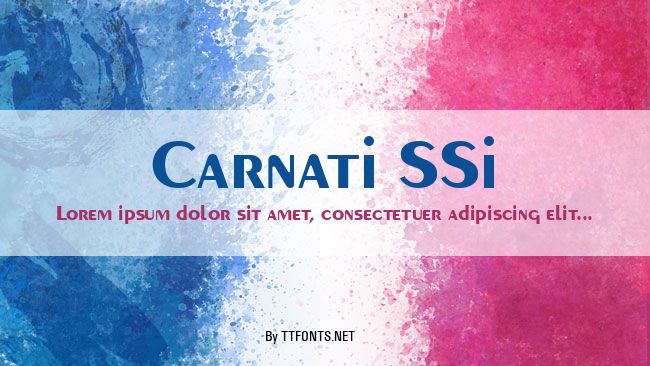 Carnati SSi example