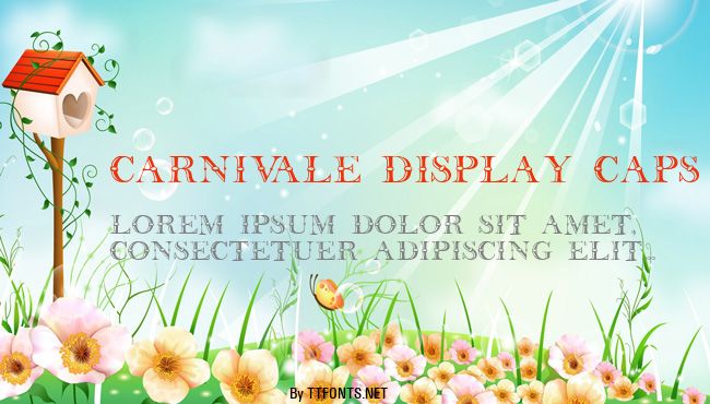 Carnivale Display Caps SSi example