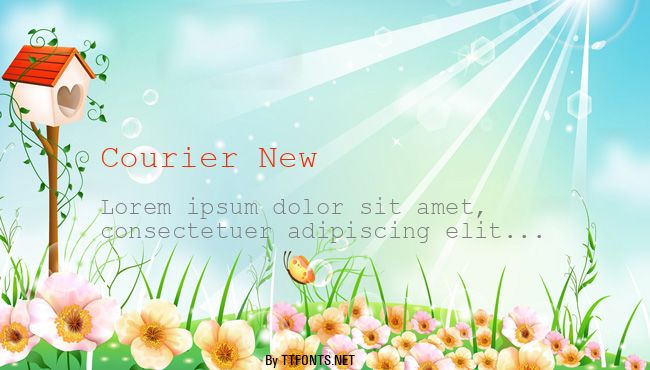 Courier New example