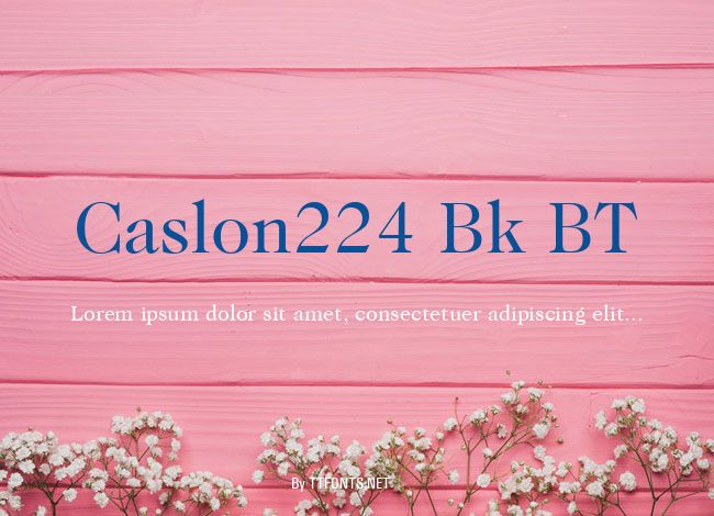 Caslon224 Bk BT example