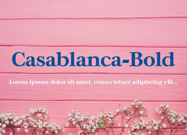 Casablanca-Bold example