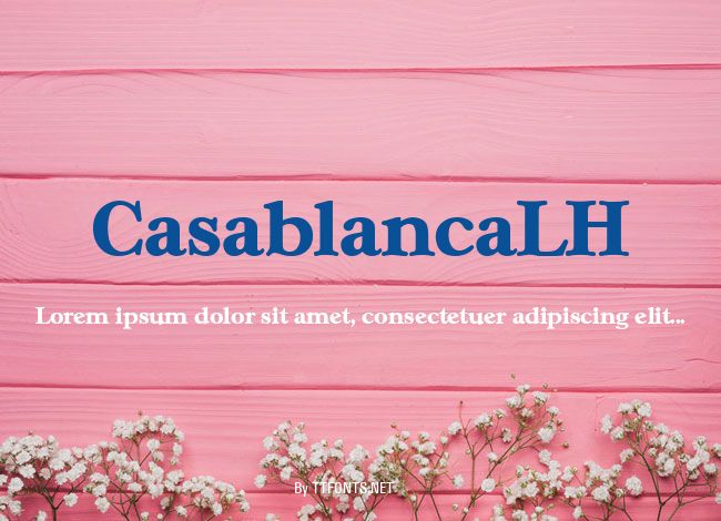 CasablancaLH example