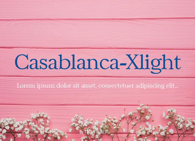 Casablanca-Xlight example