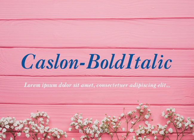 Caslon-BoldItalic example