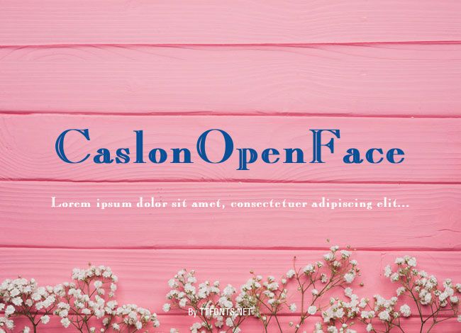 CaslonOpenFace example