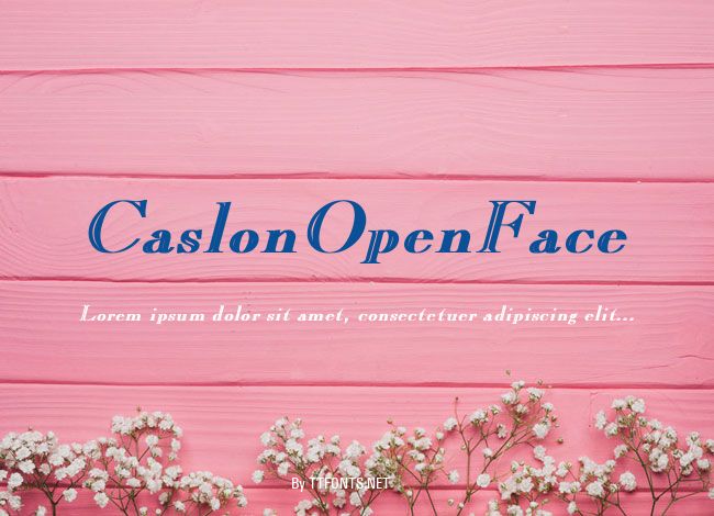 CaslonOpenFace example