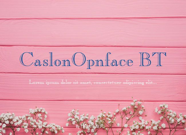 CaslonOpnface BT example