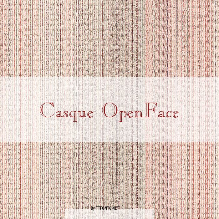 Casque OpenFace example