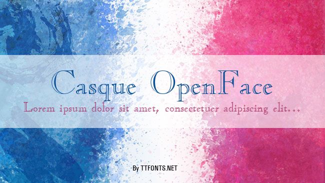 Casque OpenFace example