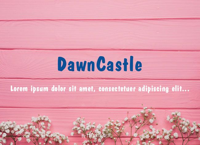 DawnCastle example