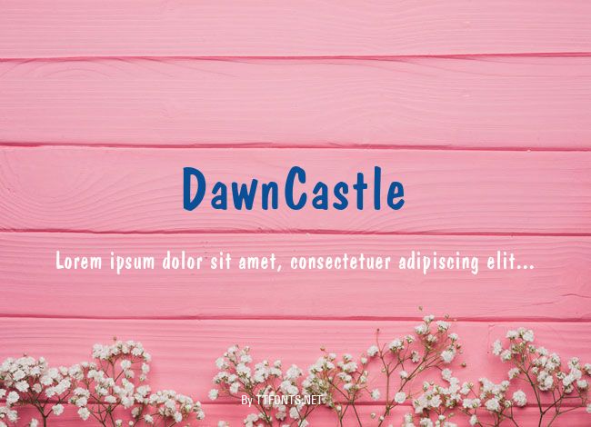 DawnCastle example