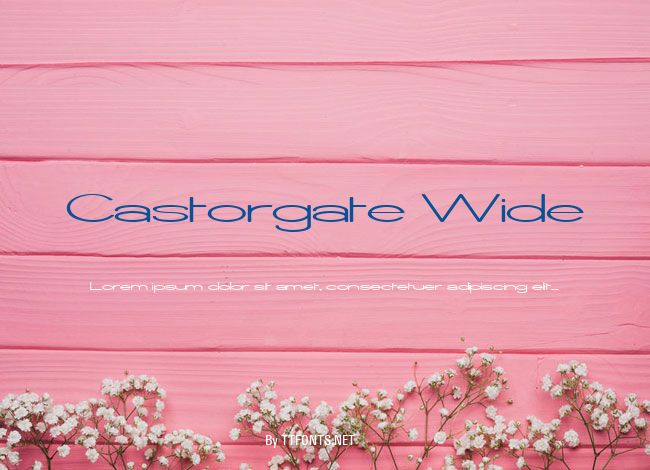 Castorgate Wide example