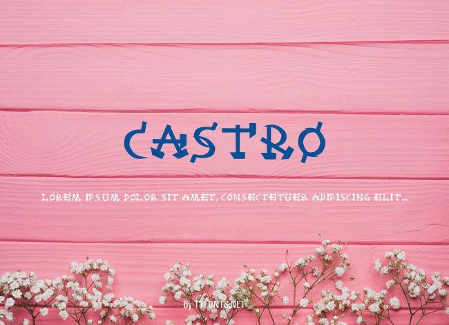Castro example
