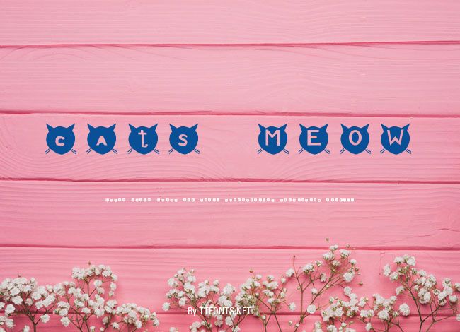 cats MEOW example