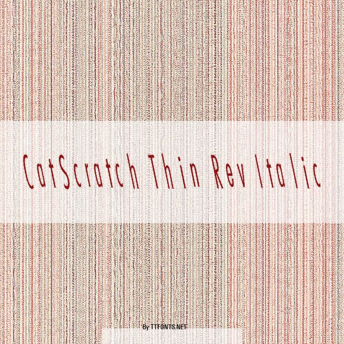 CatScratch Thin Rev Italic example