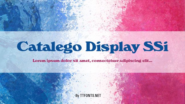Catalego Display SSi example