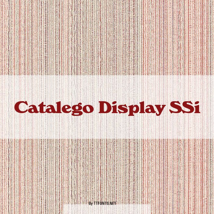 Catalego Display SSi example