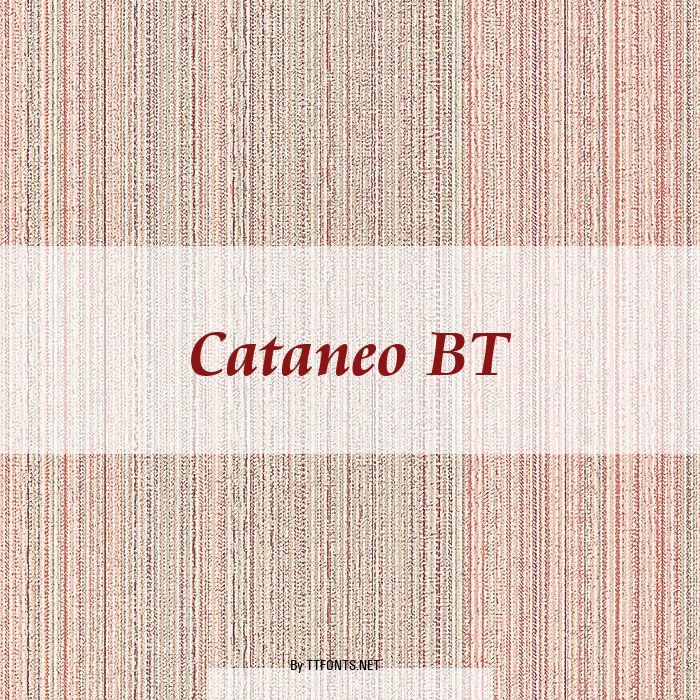 Cataneo BT example