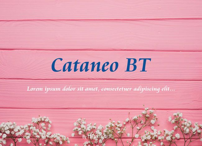 Cataneo BT example