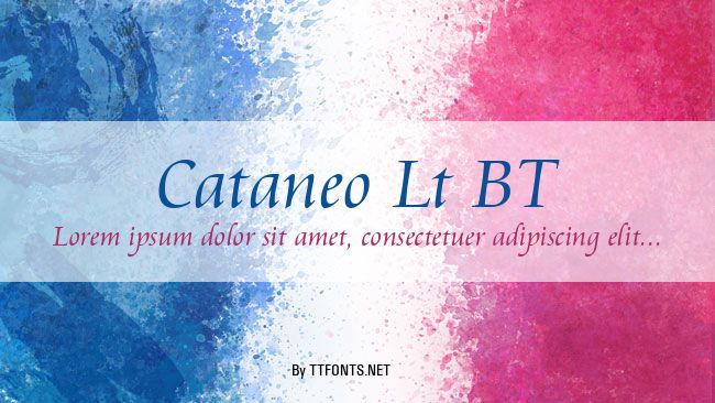 Cataneo Lt BT example