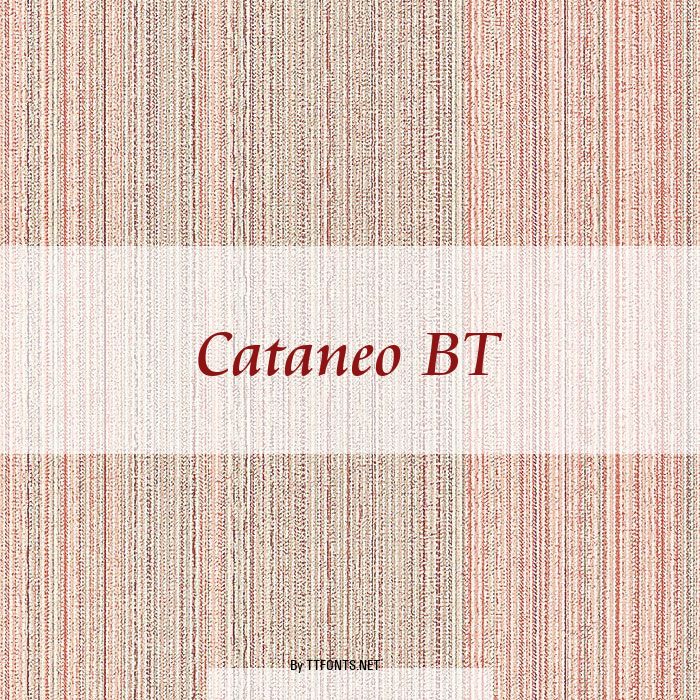 Cataneo BT example