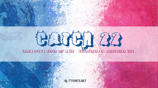 Catch 22 example