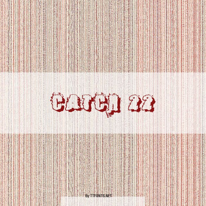Catch 22 example