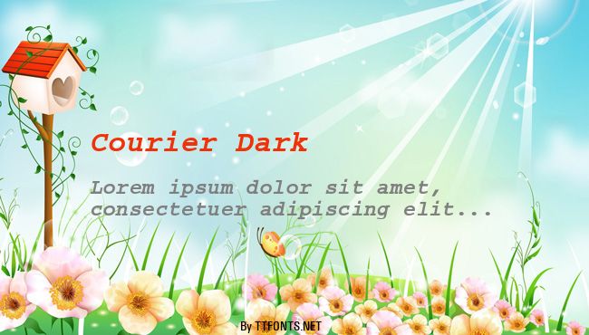 Courier Dark example