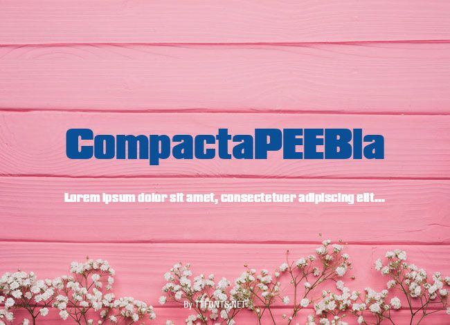 CompactaPEEBla example