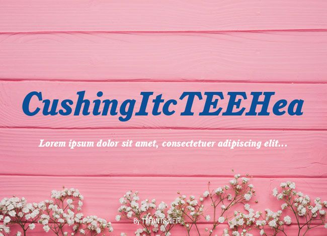 CushingItcTEEHea example