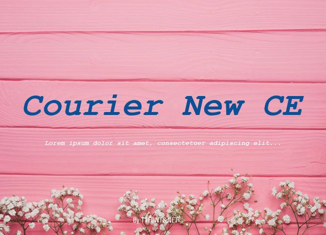 Courier New CE example