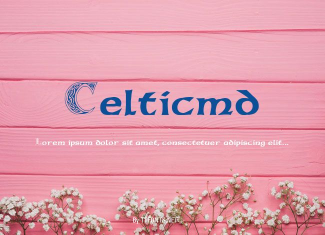Celticmd example