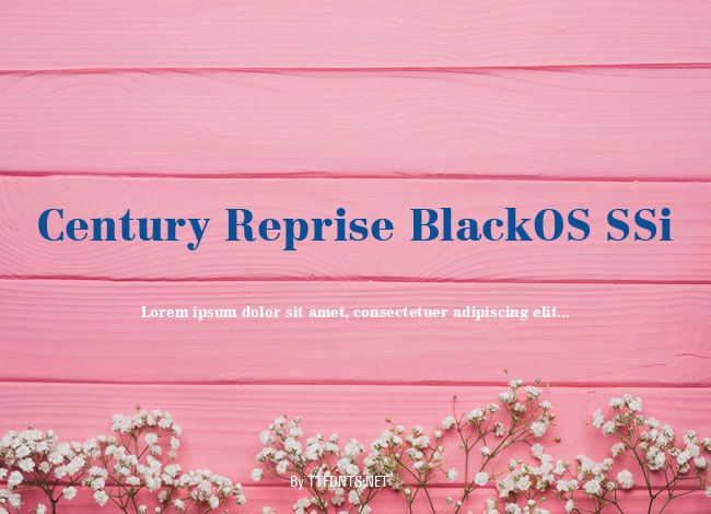Century Reprise BlackOS SSi example