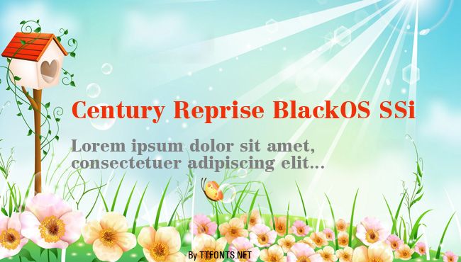 Century Reprise BlackOS SSi example