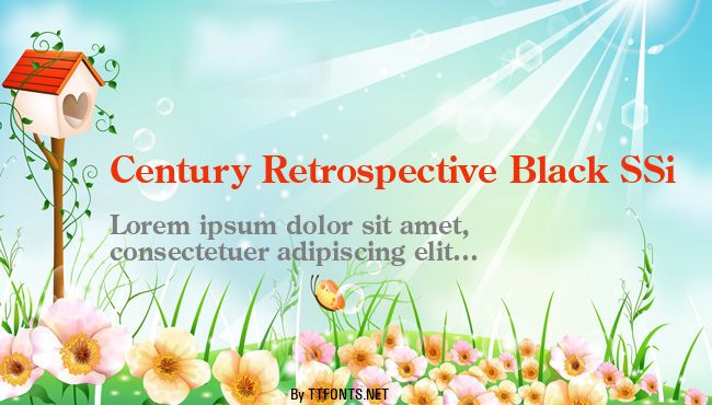 Century Retrospective Black SSi example